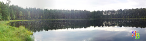 lago na floresta russa - a natureza da região de moscou em fotos - rússia