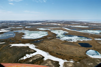 zonas naturais da Rússia - tundra