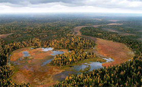 natureza da Região de Arkhangelsk - Rússia