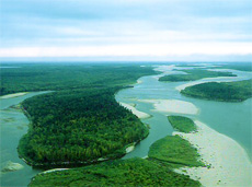 natureza da Região de Astrakhan - Rússia - o rio Volga