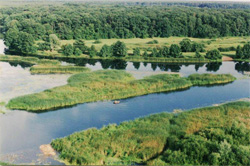 mordvino parque nacional - República da Mordóvia - Federação da Rússia