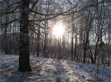 Floresta no inverno - República do Tatarstão - Rússia